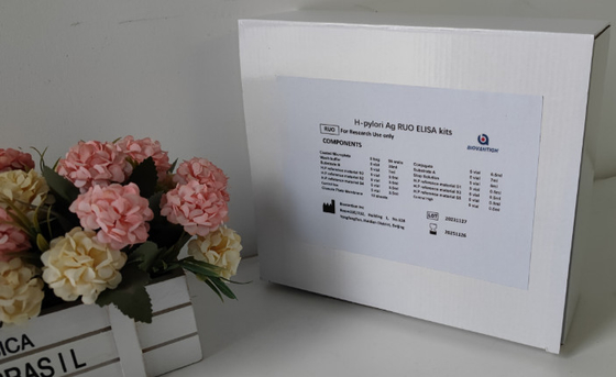 Laboratory Or Hospital High Accuracy H.Pylori IgG  Elisa Test Kit