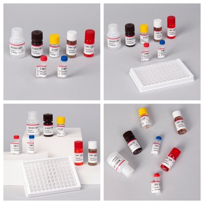 Enzyme Immunoassay Reagents Elisa Test Kit For Detection Of Cytomegalovirus CMV Antibodies