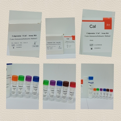 Accurate Cal Calprotein Assay Test Kit For Disease Detection And Management