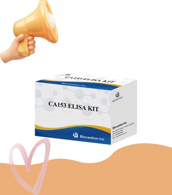 Rat CA153 For Research Use Only Ca153 Elisa Kit Medical Testing