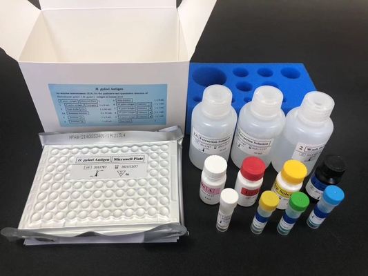 Helicobacter HP Antibody IgG ELISA Kit H.Pylori IgG