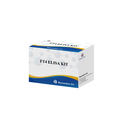 Accurate FT4 Elisa Test Kit For Quantitative And Qualitative Analysis