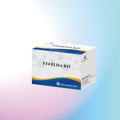 Accurate FT4 Elisa Test Kit For Quantitative And Qualitative Analysis