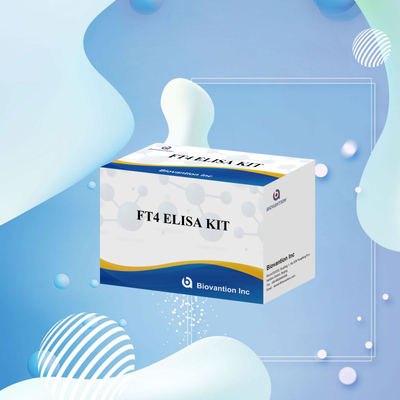Accurate FT4 Elisa Test Kit For Quantitative And Qualitative Analysis