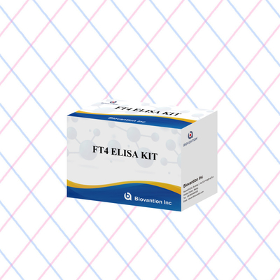 Accurate FT4 Elisa Test Kit For Quantitative And Qualitative Analysis