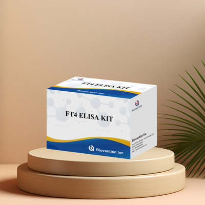 Accurate FT4 Elisa Test Kit For Quantitative And Qualitative Analysis