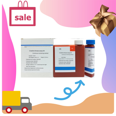 Biovantion CK Creatine Kinase Assay Kit IVD Quantitative