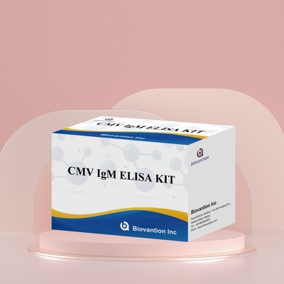 Biovantion High-Sensitivity CMV ELISA Reagent Kit For Cytomegalovirus Antibody Detection – IgG/IgM Testing