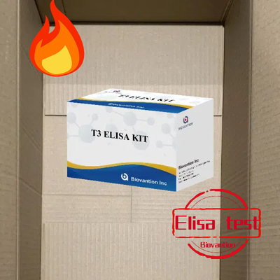 T3 Elisa Test KitLaboratory Hospital Clinic T3 Triiodothyronine