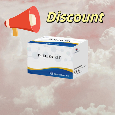 T4 Triiodothyronine Elisa Test Kit commonly Used Thyroid Hormone Test