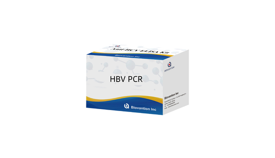 Hepatitis B Virus HBV Quantitative RT-PCR Kit Real Time PCR Method