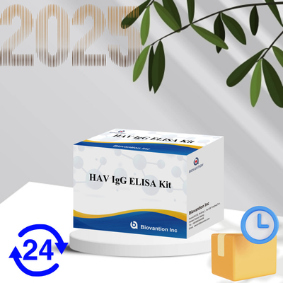 High Sensitivity HAV IgG ELISA Kit Accurate Hepatitis A Virus Detection Reliable CE Certified For Clinical And Research Use