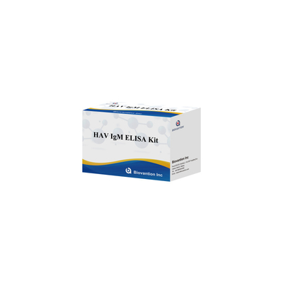 HAV IgM ELISA Kit High Sensitivity Hepatitis A Virus Detection Reliable Accurate Diagnostic Test For Clinical Laboratories