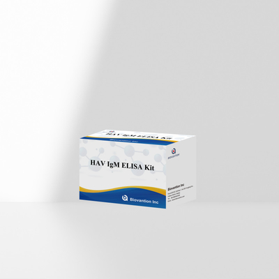 HAV IgM ELISA Kit High Sensitivity Hepatitis A Virus Detection Reliable Accurate Diagnostic Test For Clinical Laboratories
