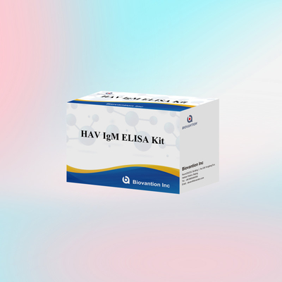 HAV IgM ELISA Kit High Sensitivity Hepatitis A Virus Detection Reliable Accurate Diagnostic Test For Clinical Laboratories