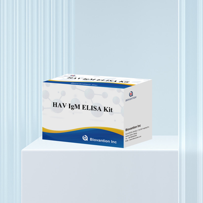 HAV IgM ELISA Kit High Sensitivity Hepatitis A Virus Detection Reliable Accurate Diagnostic Test For Clinical Laboratories