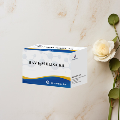HAV IgM ELISA Kit High Sensitivity Hepatitis A Virus Detection Reliable Accurate Diagnostic Test For Clinical Laboratories