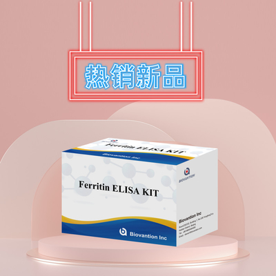 Biovantion High Sensitivity Ferritin Elisa Test Kit Quantitative Detection For Clinical Diagnostics And Research Use Human Serum Plasma Samples
