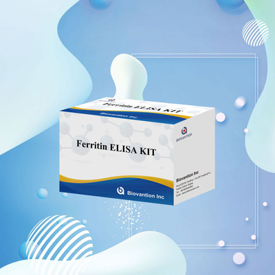 Biovantion High Sensitivity Ferritin Elisa Test Kit Quantitative Detection For Clinical Diagnostics And Research Use Human Serum Plasma Samples