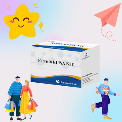 Biovantion High Sensitivity Ferritin Elisa Test Kit Quantitative Detection For Clinical Diagnostics And Research Use Human Serum Plasma Samples