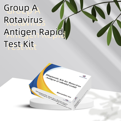 Innovative Rota Virus Antigen Colloidal Gold Rapid Test For Fast And Precise Medical Screening