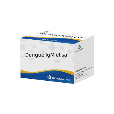 Dengue IgM ELISA For In Vitro Diagnostic And Professional Use Only