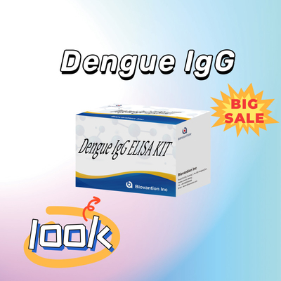 High-Performance Dengue IgG Elisa Test Kit For Sensitive And Specific Results