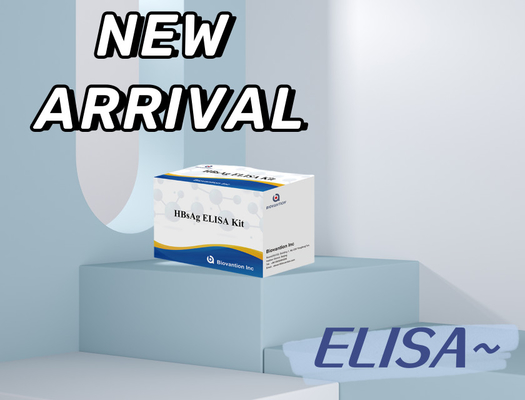 Highly Sensitive HBsAg  Elisa Test Kit For Accurate Detection Of Various Substances