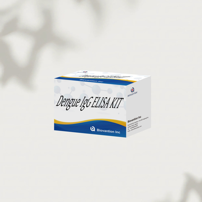 High-Performance Dengue IgG ELISA Kit 96 Tests For Sensitive And Accurate Results