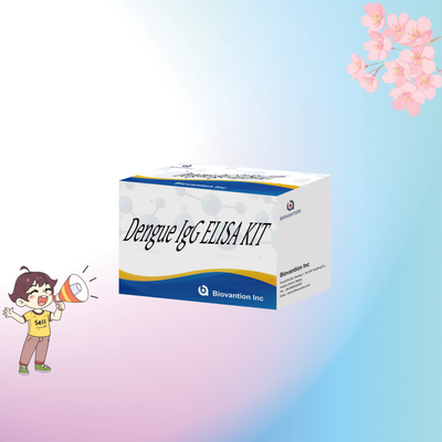 High-Performance Dengue IgG ELISA Kit 96 Tests For Sensitive And Accurate Results