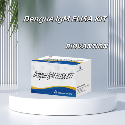 Highly Sensitive Dengue IgM Elisa Test Kit For Low Detection Limits And High Precision