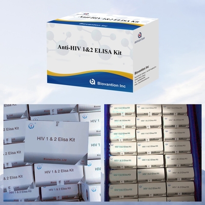 Fast Easy HIV ELISA Test Kit For Quick And Convenient Disease Detection