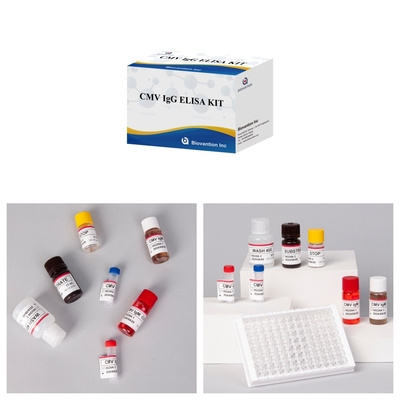 Highly Sensitive CMV Elisa Test Kit For Accurate And Precise Results