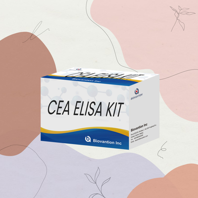 High Performance CEA Quantitative Elisa Test Kit For Research And Clinical