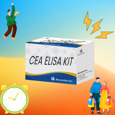 High Performance CEA Quantitative Elisa Test Kit For Research And Clinical