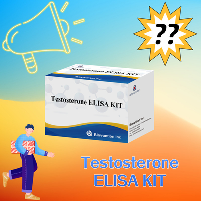 High-Performance Teststerone Elisa Test Kit for Accurate Quantification of Biomarkers