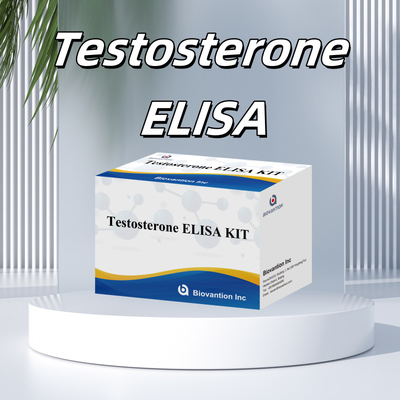 High-Performance Teststerone Elisa Test Kit for Accurate Quantification of Biomarkers
