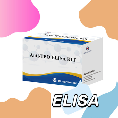 Convenient and Accurate TPO  Elisa Test Kit for Disease Detection and Monitoring