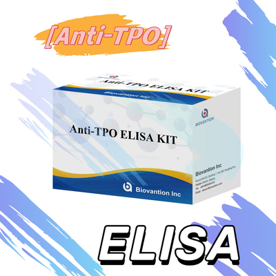 Convenient and Accurate TPO  Elisa Test Kit for Disease Detection and Monitoring