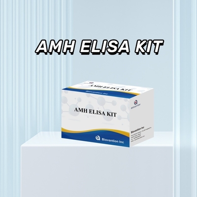 IVD test Anti-Mullerian Hormone AMH  Elisa for human detect with 96 test