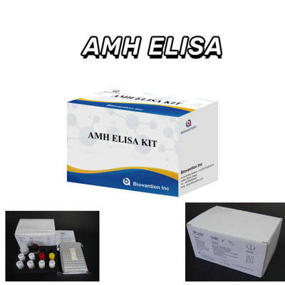 IVD test Anti-Mullerian Hormone AMH  Elisa for human detect with 96 test