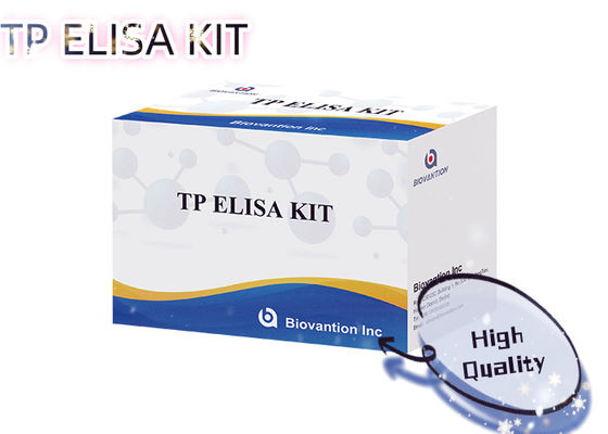 Syphilis TP ELISA Test Kit 96T Treponema Pallidum Antibody Detection Human Serum