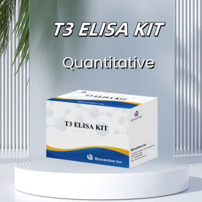 BIOVANTION T3 Medical Diagnosis ELISA Test Kit With High Specificity