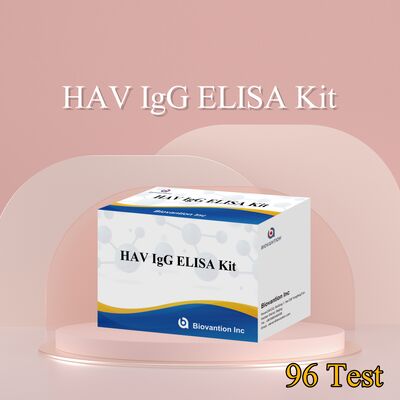 High Sensitivity HAV IgG ELISA Kit (0.2 ng/mL) CE Certified for Accurate Hepatitis A Virus Detection in 96 Tests