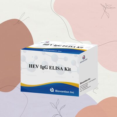 High Sensitivity HEV-IgG ELISA Test Kit with 96T Size and 18 Months Shelf Life for Hepatitis E Diagnosis
