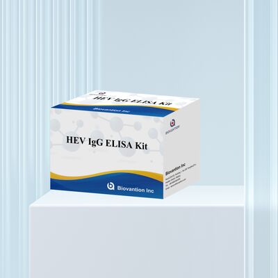 High Sensitivity HEV-IgG ELISA Test Kit with 96T Size and 18 Months Shelf Life for Hepatitis E Diagnosis