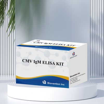 96T CMV ELISA Test Kit with Colorimetric Detection and Sandwich Method for Cytomegalovirus Antibodies