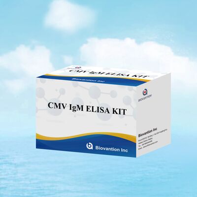 96T CMV ELISA Test Kit with Colorimetric Detection and Sandwich Method for Cytomegalovirus Antibodies
