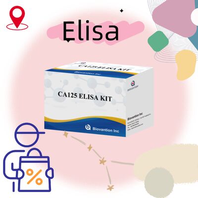 High Sensitivity CA125 ELISA Test Kit with 96 Tests and 1 Hour Assay Time for Accurate Cancer Diagnosis