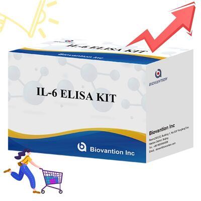 IL-6 Interleukin-6 Human ELISA Kit with 99% Accuracy 24 Months Shelf Life and 96 Tests/Kit